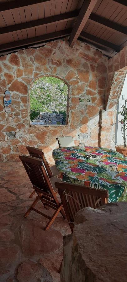 Nerin Villa Zagora